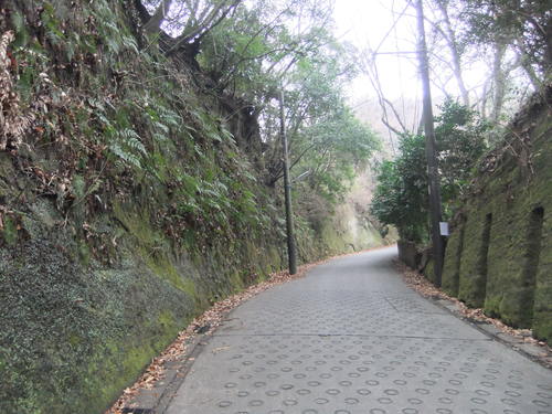f0063791_20592281.jpg