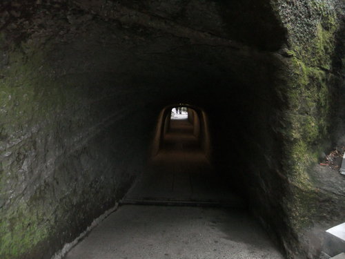 f0063791_2113569.jpg