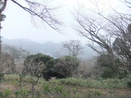 f0063791_2161728.jpg