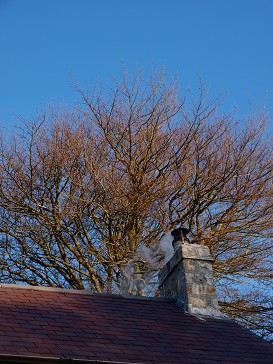b0110999_1881294.jpg