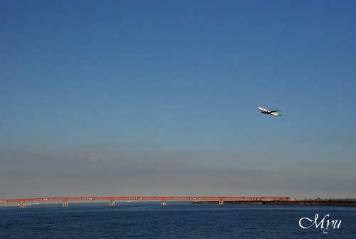 d0064000_22111375.jpg
