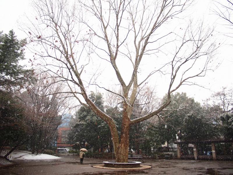 f0224100_23552939.jpg
