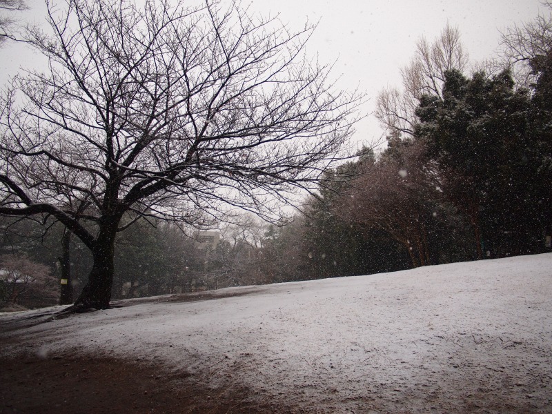 f0224100_23563222.jpg