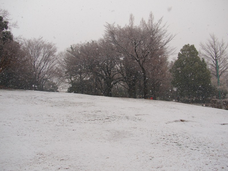 f0224100_23574525.jpg