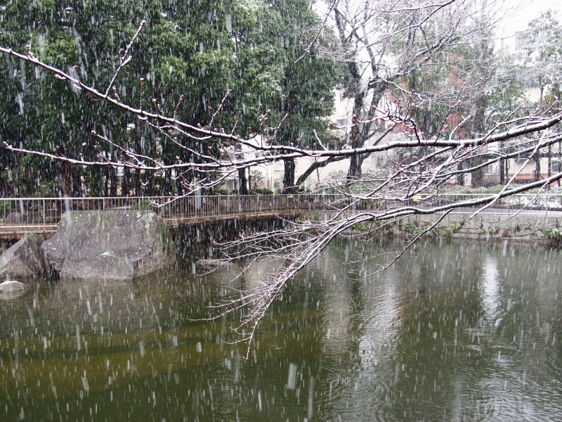 f0224100_2358301.jpg