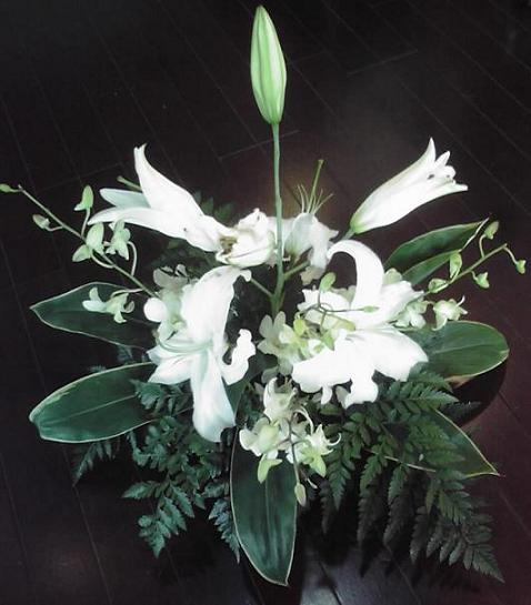 c0037103_12495791.jpg