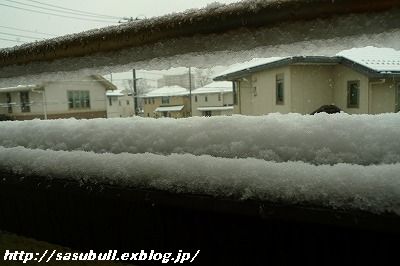e0145805_1831654.jpg