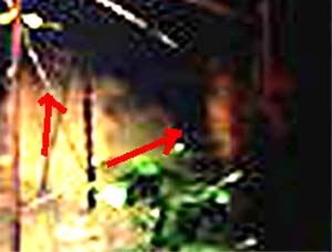 e0103408_15474181.jpg