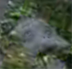 e0103408_19355291.jpg