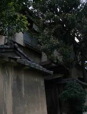 e0103408_19385646.jpg
