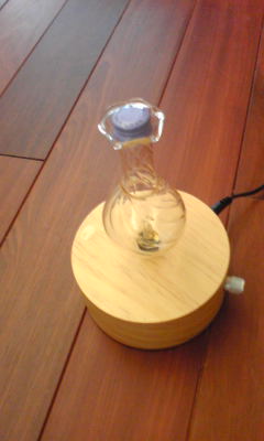c0180209_21513737.jpg