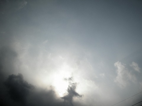 c0190010_1556949.jpg