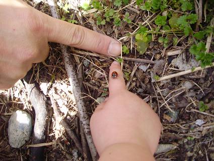 f0008510_19304153.jpg