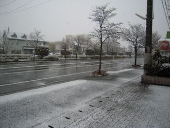 c0162212_18503617.jpg