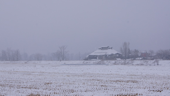 f0233414_21153513.jpg