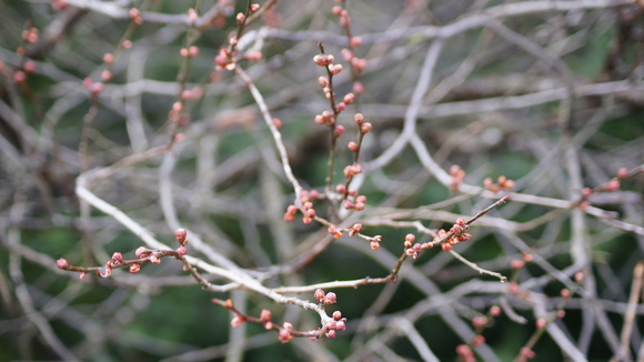 f0233414_21262287.jpg