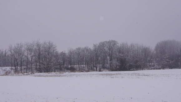 f0233414_223841.jpg