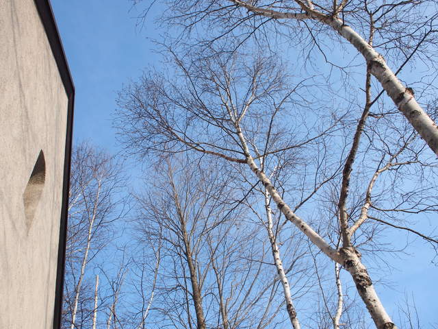 f0185920_23464098.jpg