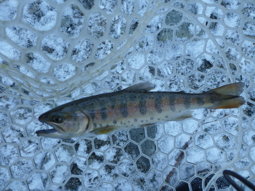b0195927_2271537.jpg