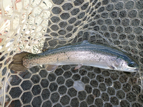 b0195927_2340812.jpg