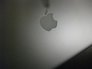 c0177332_21563010.jpg