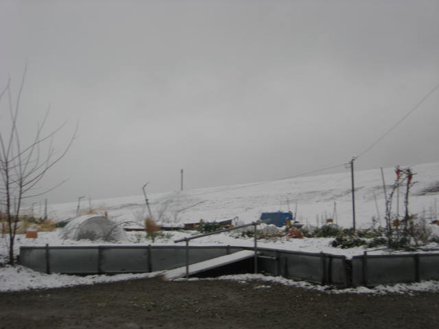 e0166032_20272855.jpg