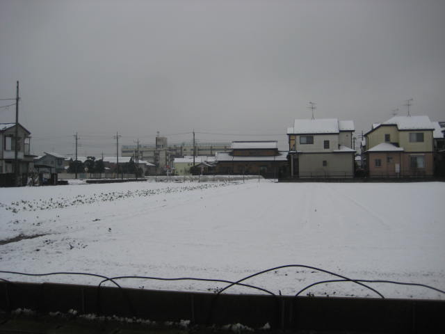 e0166032_20273768.jpg