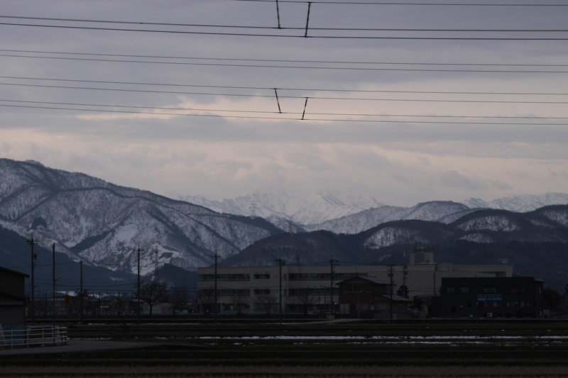 b0177233_5102984.jpg
