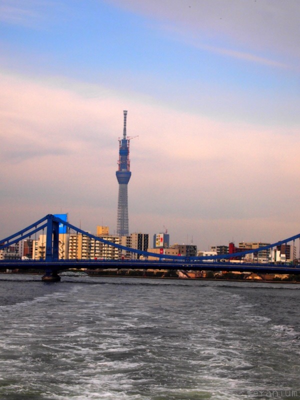 c0133533_236176.jpg