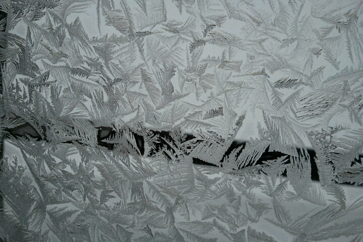 e0173533_1334115.jpg