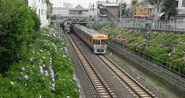 d0164636_963561.jpg