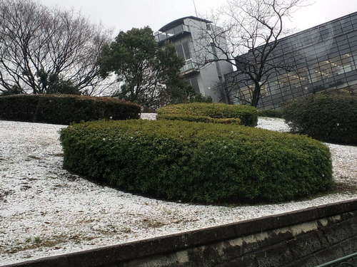 b0137240_17484291.jpg