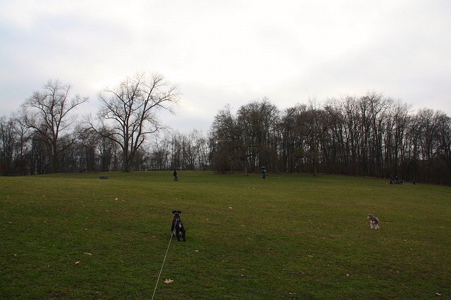 c0153740_565383.jpg