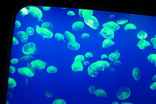c0137145_13224585.jpg