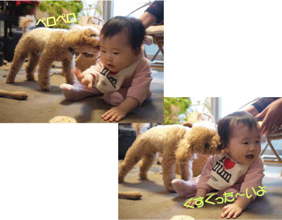 b0182846_10595331.gif