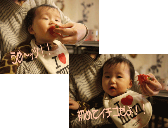 b0182846_1105268.gif