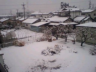 c0011446_10484921.jpg