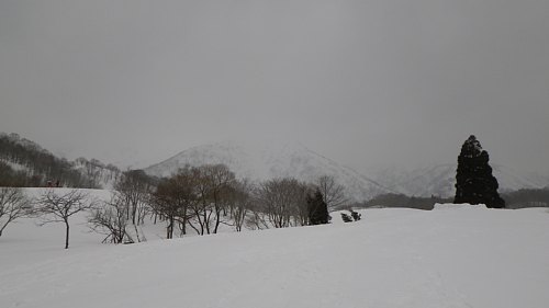 c0042847_19101050.jpg