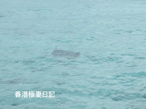 f0190653_14573192.gif