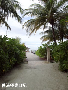 f0190653_1457890.jpg