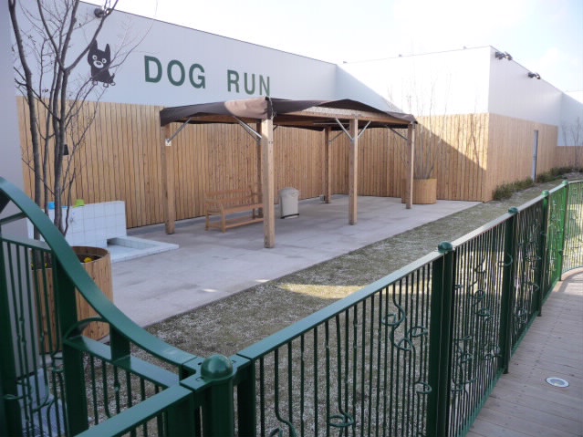 f0198253_23525737.jpg