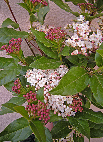a0001354_2212850.jpg