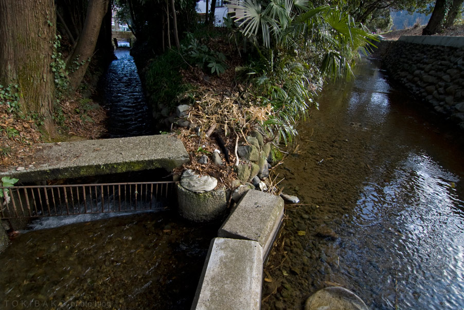 d0100156_0153265.jpg