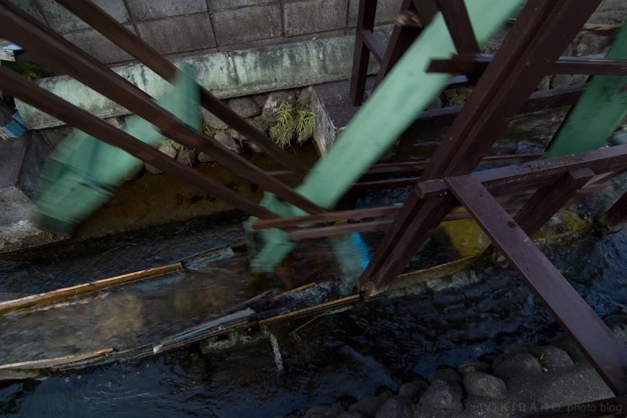 d0100156_016166.jpg