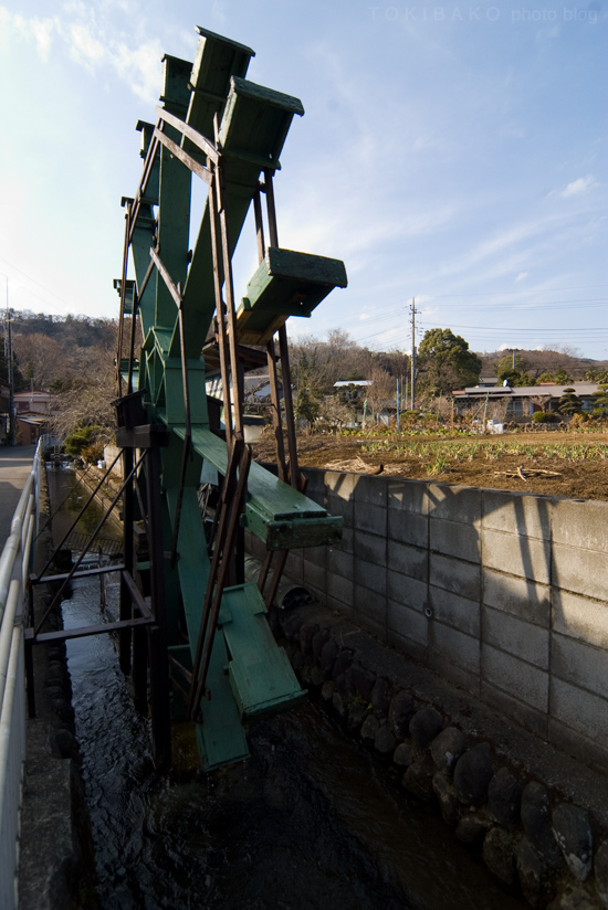 d0100156_016187.jpg