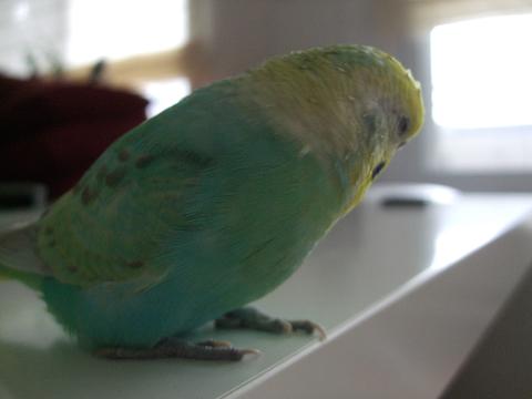 f0149057_20423320.jpg