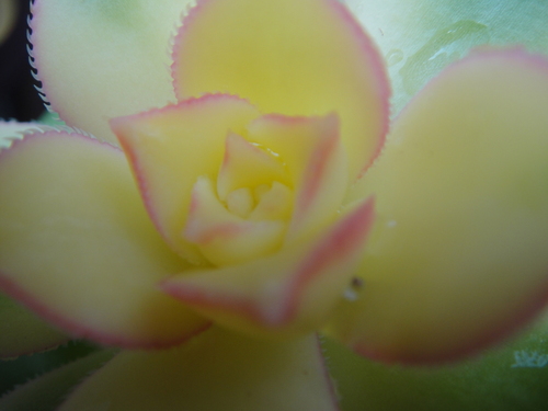 c0108460_13592879.jpg