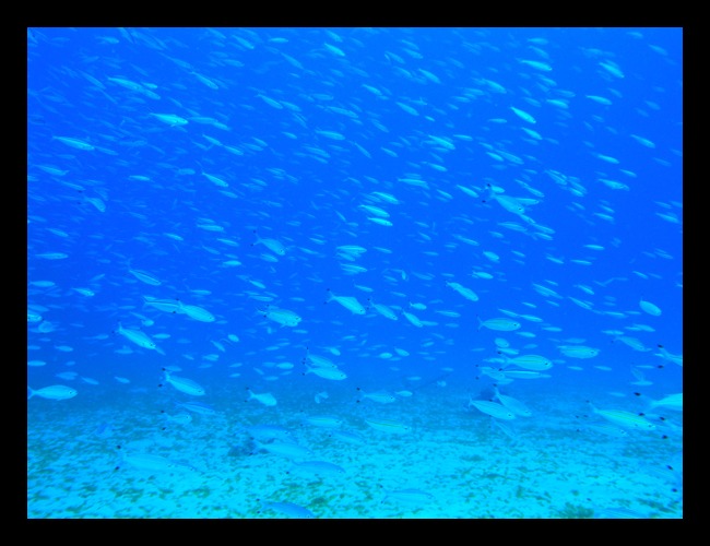 b0062363_6223274.jpg