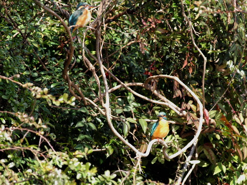 f0208666_11321790.jpg