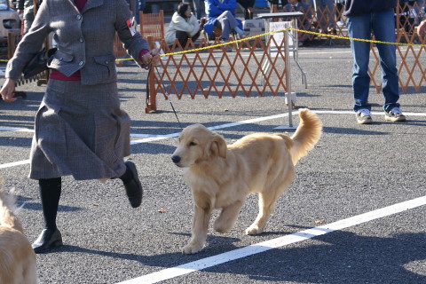 e0019967_23545511.jpg